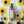 Load image into Gallery viewer, Soothing Anica Massage Oil - iQ Natural 
