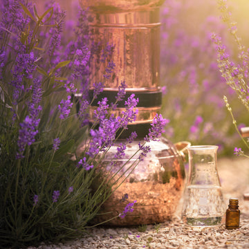 Feel Better Essential Oil Trio Blend