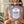 Load image into Gallery viewer, Lavender Shower Steamers - 14 Piece - iQ Natural 
